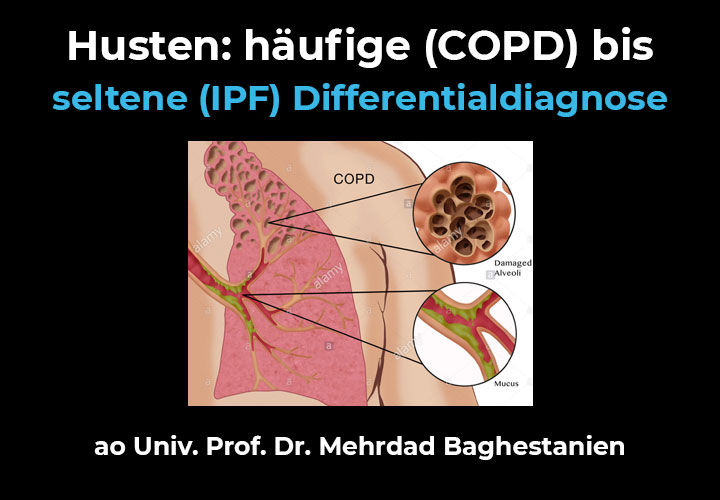 Vortrag: Lungenfunktion | Univ. Prof. Dr. Mehrdad Baghestanian
